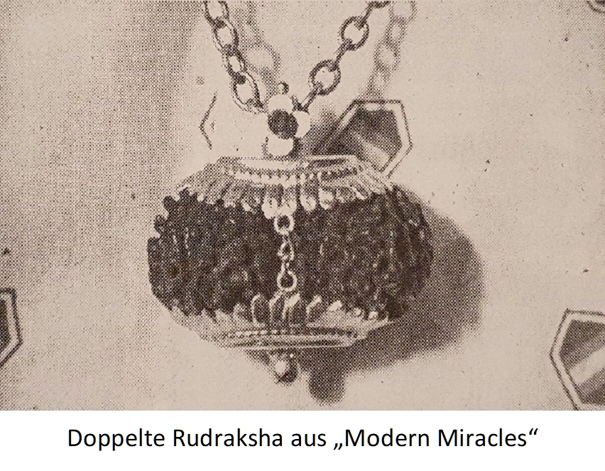 Rudraksha