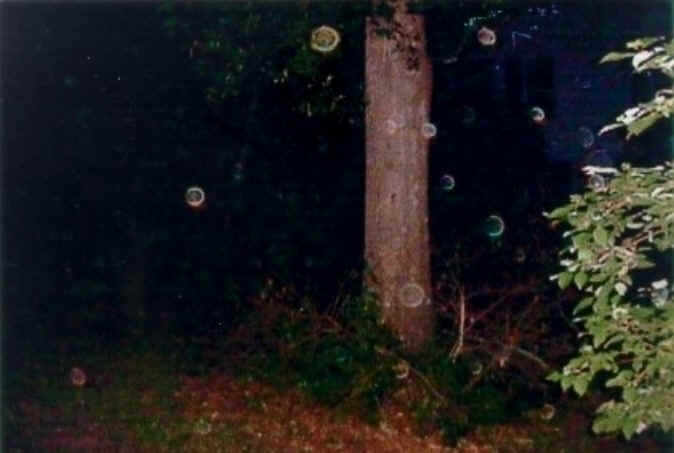 Photo (c) A. NICHOLS