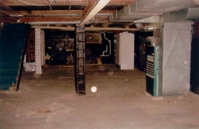 Photo (c) A. NICHOLS